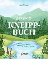 bokomslag Das große Kneipp-Buch