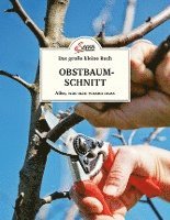 bokomslag Das große kleine Buch: Obstbaumschnitt
