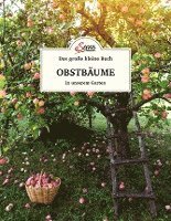 bokomslag Das große kleine Buch: Obstbäume in unserem Garten
