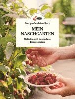 bokomslag Das große kleine Buch: Mein Naschgarten