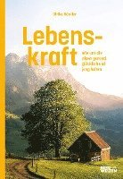 Lebenskraft 1