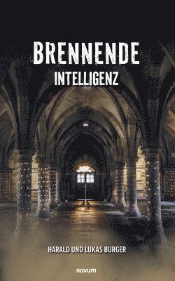 Harald Und Lukas Burger - Brennende Intelligenz, Häftad. Tillgänglighet: Lägg i varukorg