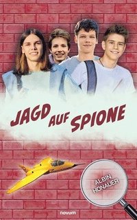 bokomslag Jagd auf Spione