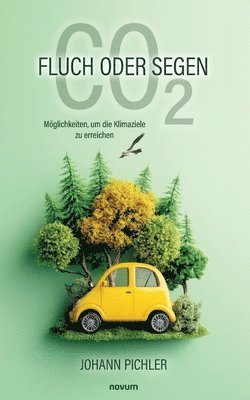 bokomslag CO&#8322; Fluch oder Segen