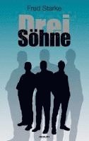 bokomslag Drei Söhne