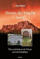 bokomslag Steine der Macht - Band 16