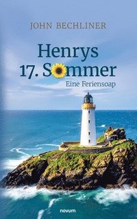 bokomslag Henrys 17. Sommer