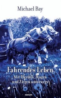 bokomslag Fahrendes Leben