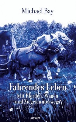 bokomslag Fahrendes Leben