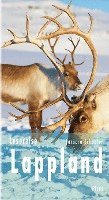 bokomslag Lesereise Lappland