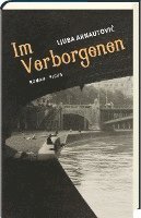 bokomslag Im Verborgenen