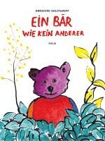 Grégoire Solotareff - Ein Bär wie kein anderer, Inbunden