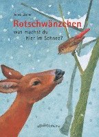 bokomslag Rotschwänzchen - was machst du hier im Schnee?