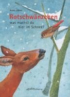 bokomslag Rotschwänzchen - was machst du hier im Schnee?