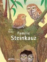 bokomslag Familie Steinkauz