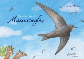 bokomslag Die weite Reise der Mauersegler