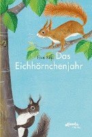 bokomslag Das Eichhörnchenjahr