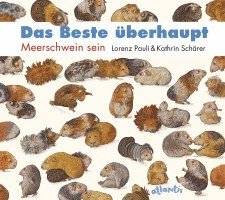 Lorenz Pauli - Das Beste überhaupt MINIAUSGABE, Inbunden