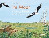 bokomslag Im Moor - Kiebitz, Frosch und Sonnentau