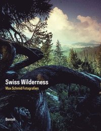 bokomslag Swiss Wilderness