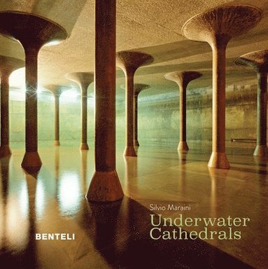 bokomslag Underwater Cathedrals