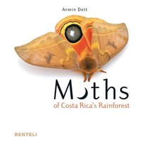 bokomslag Moths of Costa Rica's Rainforest