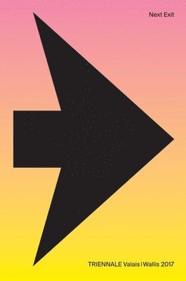 Marcel Henry, Raphaël Brunner - Next Exit: Triennale Valais / Wallis 2017, Häftad