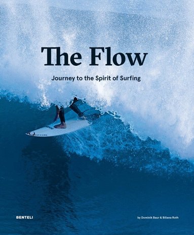 Dominik Baur, Biliana Roth, Sandra Ellegiers - Flow, Inbunden