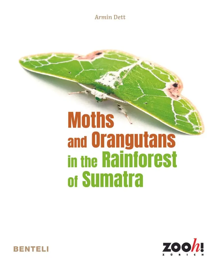 Armin Dett - Moths and Orangutans in the Rainforest of Sumatra, Häftad. Tillgänglighet: Kommande