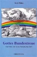 bokomslag Gottes Bundestreue