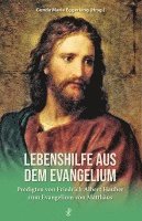 bokomslag Lebenshilfe aus dem Evangelium