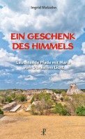 bokomslag Ein Geschenk des Himmels