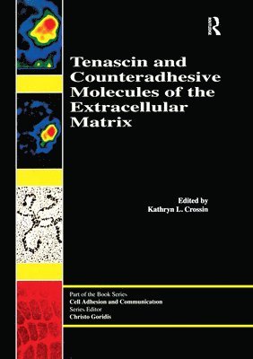 Tenascin and Counteradhesive Molecules of the Extracellular Matrix 1