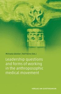 bokomslag Leadership questions and forms of working in the anthroposophic medical movement