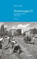 bokomslag Strömungen II