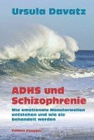 bokomslag ADHS und Schizophrenie