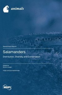 bokomslag Salamanders