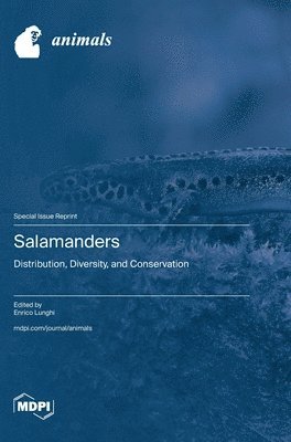 bokomslag Salamanders