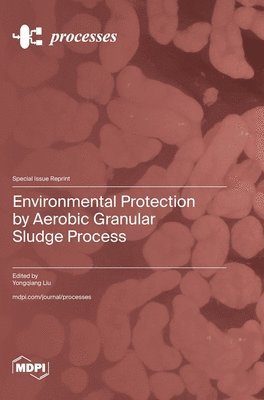 bokomslag Environmental Protection by Aerobic Granular Sludge Process