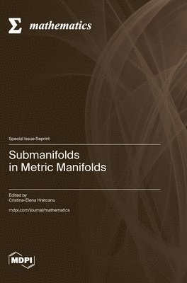 bokomslag Submanifolds in Metric Manifolds