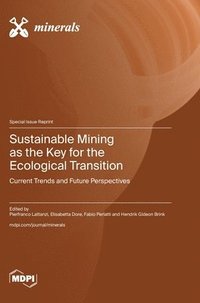 bokomslag Sustainable Mining as the Key for the Ecological Transition: Current Trends and Future Perspectives