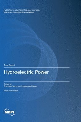 bokomslag Hydroelectric Power