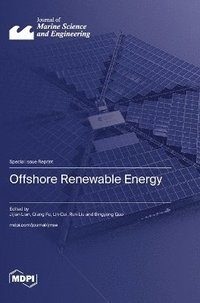 bokomslag Offshore Renewable Energy