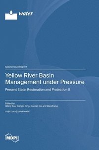 bokomslag Yellow River Basin Management under Pressure