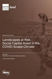 bokomslag Landscapes at Risk. Social Capital Asset in the COVID-Scape Climate