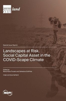 bokomslag Landscapes at Risk. Social Capital Asset in the COVID-Scape Climate