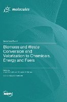 bokomslag Biomass and Waste Conversion and Valorization to Chemicals, Energy and Fuels