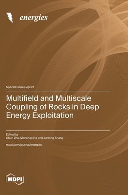 bokomslag Multifield and Multiscale Coupling of Rocks in Deep Energy Exploitation