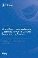 When Deep Learning Meets Geometry for Air-to-Ground Perception on Drones, Inbunden