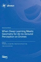 When Deep Learning Meets Geometry for Air-to-Ground Perception on Drones 1